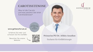 Was ist die Carotis und was passiert bei einer Carotisstenose [upl. by Yarazed]