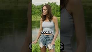 Don’t Mess With Canada Gooses shorts viral [upl. by Nref]