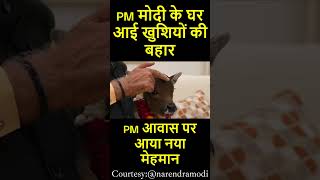 PM modi l Cow Love l deepjyoti shortsfeed short [upl. by Adnhoj640]