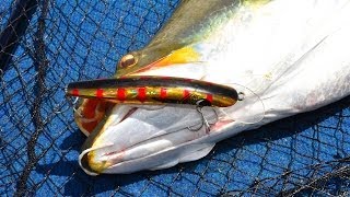 Classic 120 Barra Lure [upl. by Hilleary324]