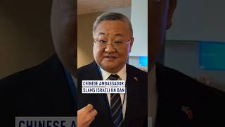 Chinese ambassador slams Israeli UN ban [upl. by Sasnett671]