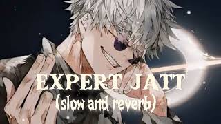 Expert Jatt slow and reverb song  New Lofi song [upl. by Idrahs521]