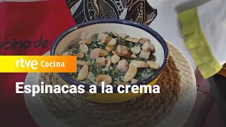 Receta de espinacas a la crema  La Cocina de Adora  RTVE Cocina [upl. by Aziar]