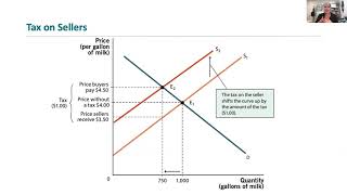 ECON 0101 with Prof ST  Chapter 4 Taxes and DWL [upl. by Greeley]