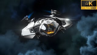 Star Citizen RSI Mantis Tour [upl. by Berthold299]