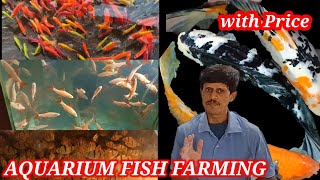 Printed carp Milky koicarp amp Golgfish farming🐕Baby fish price update in India🐕Aquarium fish shop [upl. by Sylvia987]