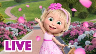 🔴 LIVE STREAM 🎬 Masha and the Bear 🔁 Watch Special Episode All Day 📺▶️ [upl. by Anwat10]