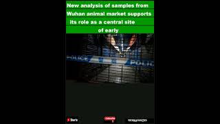 New analysis of samples from Wuhan animal market supports its role as a central site of earlShorts [upl. by Ibbor]