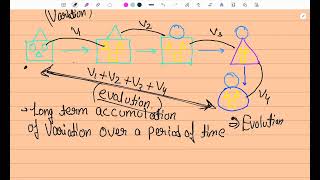 Heredity  Class 10  CBSE Board One shot 🔫 [upl. by Ynned732]