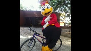 El pollo Frisby en bicicleta 🚲 [upl. by Aihsoem]