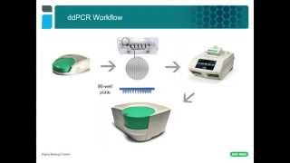 Droplet Digital™ PCR Tips amp Tricks ddPCR™ Assay Design [upl. by Nnylahs]