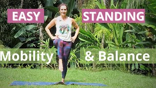 Standing Workout For Mobility amp Balance  Knee amp Wrist Friendly [upl. by Boyer606]