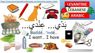 I want I haveLearn Levantine Lebanese Arabic with Angela [upl. by Hakeem]