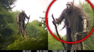 Astounding Trail Cam Evidence That Unmasked Their Existence [upl. by Geraint]