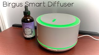 Birgus Smart Diffuser  Unboxing and Test [upl. by Artekal]