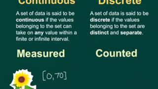 Continuous Vs Discrete Data [upl. by Birkett]