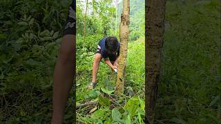 One small act of kindness 🌏 camping survival bushcraft outdoors funny bushcraftfamily [upl. by Walke]