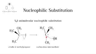 SN1 Nucleophilic Substitution Mechanism IB HL and A level Chemistry [upl. by Paske831]