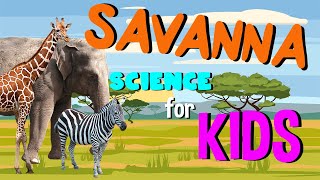 What is a Savanna  Science for Kids [upl. by Azer]