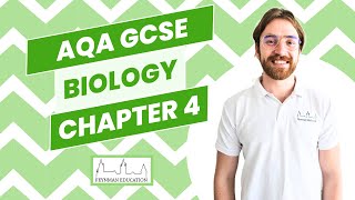 AQA GCSE Biology B4 Organising Animals and Plants  EXPLAINED [upl. by Nadab696]