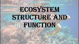 Ecosystem  structure and function  HPU BSc 1st year [upl. by Ximenes49]