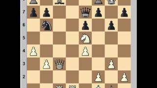 Positional masterpiece Kasparov vs Petrosian 1982 [upl. by Dimphia]