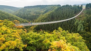 Mosel Cochem Hängebrücke Geierlay und Burg Metternich [upl. by Euqinomahs857]