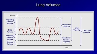 Pulmonary Function Tests PFT Lesson 1  An Introduction [upl. by Arhas800]