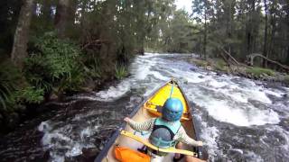 MANNING RIVER Whitewater canoeing OC1 amp OC2 with kids [upl. by Spain]