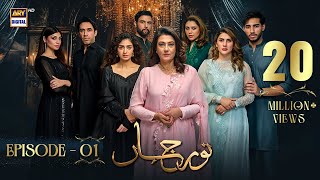 Noor Jahan Episode 1  25 May 2024 English Subtitles  ARY Digital Drama [upl. by Clemens866]