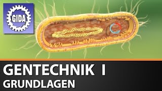 Trailer  Gentechnik I  Grundlagen  Biologie  Schulfilm [upl. by Airan99]