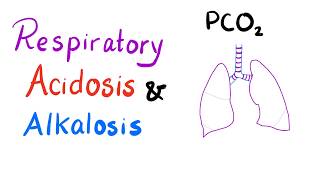 Respiratory Acidosis amp Alkalosis  AcidBase Imbalance [upl. by Armbrecht860]