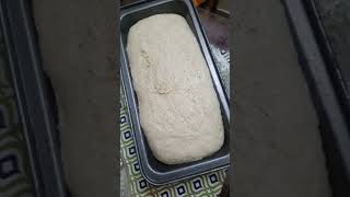 Bread  🍞 home made  home baker  baker  viralvideo passion baking wheat bread  home baked [upl. by Eihs]