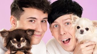 Dan and Phil AND DOGS [upl. by Notyarb]