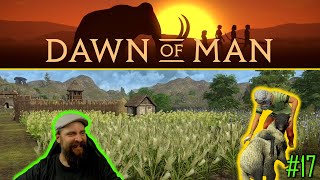 DAWN OF MAN 🔥 017 Mäh Mäh Des mog i  Mit Liebe geschoren 🔥 german gameplay [upl. by Ahsinac752]