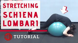 STRETCHING SCHIENA LOMBARE  con Fitball e Tappetino [upl. by Anirahs468]