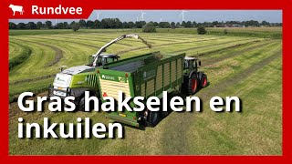 45 hectare gras hakselen en inkuilen [upl. by Nobe]