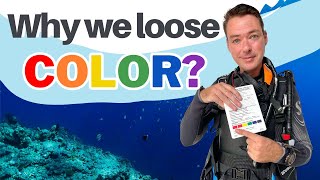 What Happens to Color Underwater and Why do Objects Look Bigger in Water Beginner Scuba Diving Tips [upl. by Cordey898]