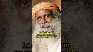 Sadhguru En Español Para Inspirarte [upl. by Erek938]