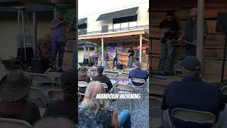 Justin Mychals and the Cathead Biscuit Boys performing “Mandolin Morning” livemusic americana [upl. by Sparke]