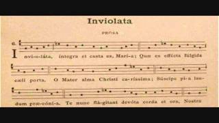 Inviolata  Canto Gregoriano Mariano [upl. by Ydnat]