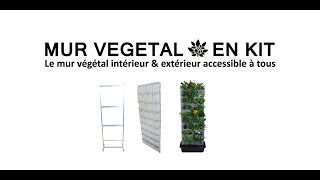 Le mur vegetal en kit [upl. by Htaek]