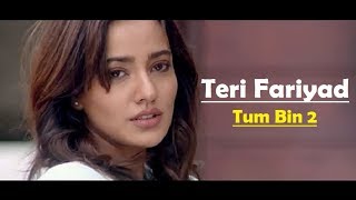 Teri Fariyad Tum Bin 2 Lyrics Translation  Jagjit Singh  Rekha Bhardwaj [upl. by Asenab]