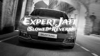 Expert Jatt SlowedReverb  Nawab Subscribe [upl. by Eyks]