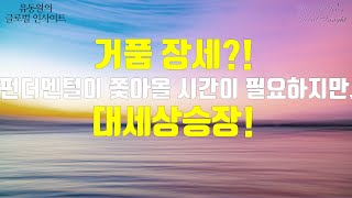 거품 장세 펀더멘털이 쫓아올 시간이 필요하지만 대세상승장 [upl. by Annal]