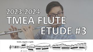 20232024 Texas All State Flute Etude 3 KargElert Op 10728 [upl. by Monjan]