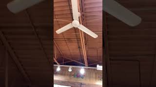 Airmaster industrial ceiling fans at a meat store Feat Diddley shorts [upl. by Archibald]