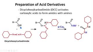 Preparations amp Transformations │ Carboxylic Acids amp Derivatives │ Organic Chemistry [upl. by Nais291]