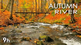 Autumn River Sounds  Relaxing Nature Video  Sleep Relax Study  9 Hours  HD 1080p [upl. by Lakin76]