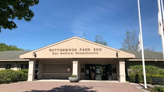 Buttonwood Park Zoo [upl. by Eal67]